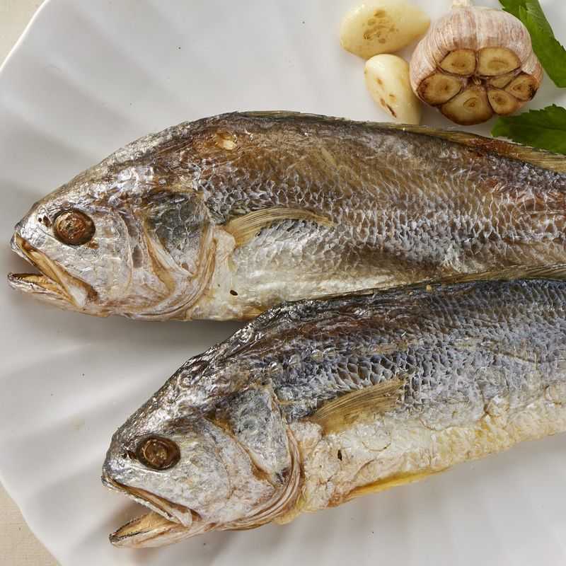 중형 굴비 조기