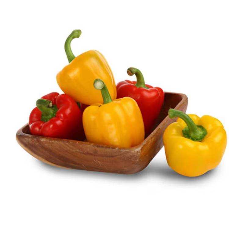 국내산 파프리카