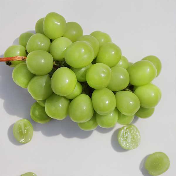 국내산 샤인머스켓