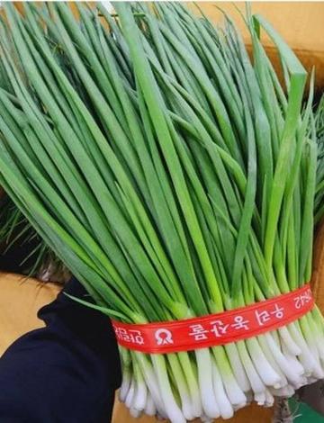 부들이 놓치면 안 되는 이번 주 저렴한 식재료 베스트 5 (가격 비교)