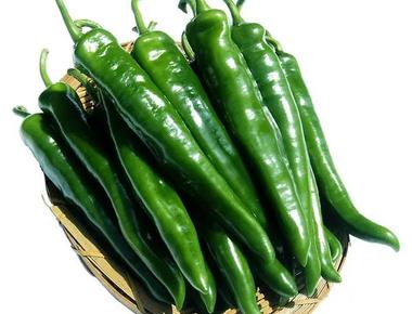 집밥 고민 끝! 가격 착한 제철 식재료 5가지 추천 (할인 정보 포함)