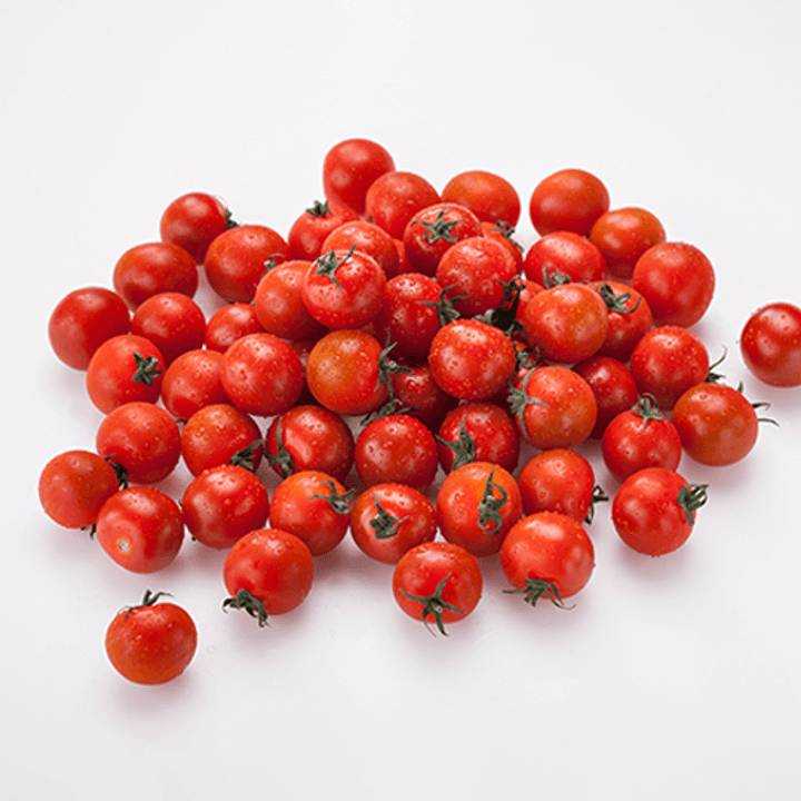 국내산 대추방울토마토